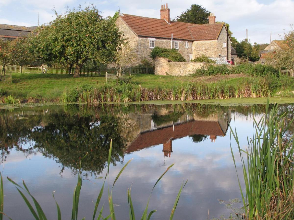 Old Orchard Cottage Haydon Exteriör bild